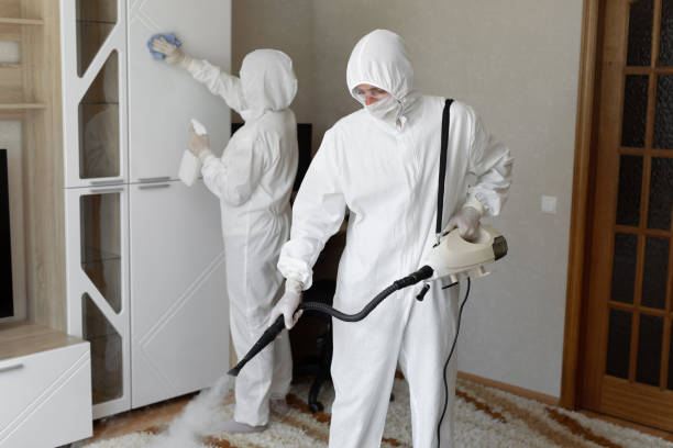 24/7 Emergency Odor Removal experts in Harrisonville, NJ