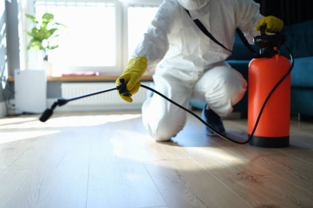 Reliable Odor Removal contractor in Harrisonville, NJ by Trauma Clean Pros